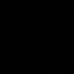 Meet your Posher, Brady